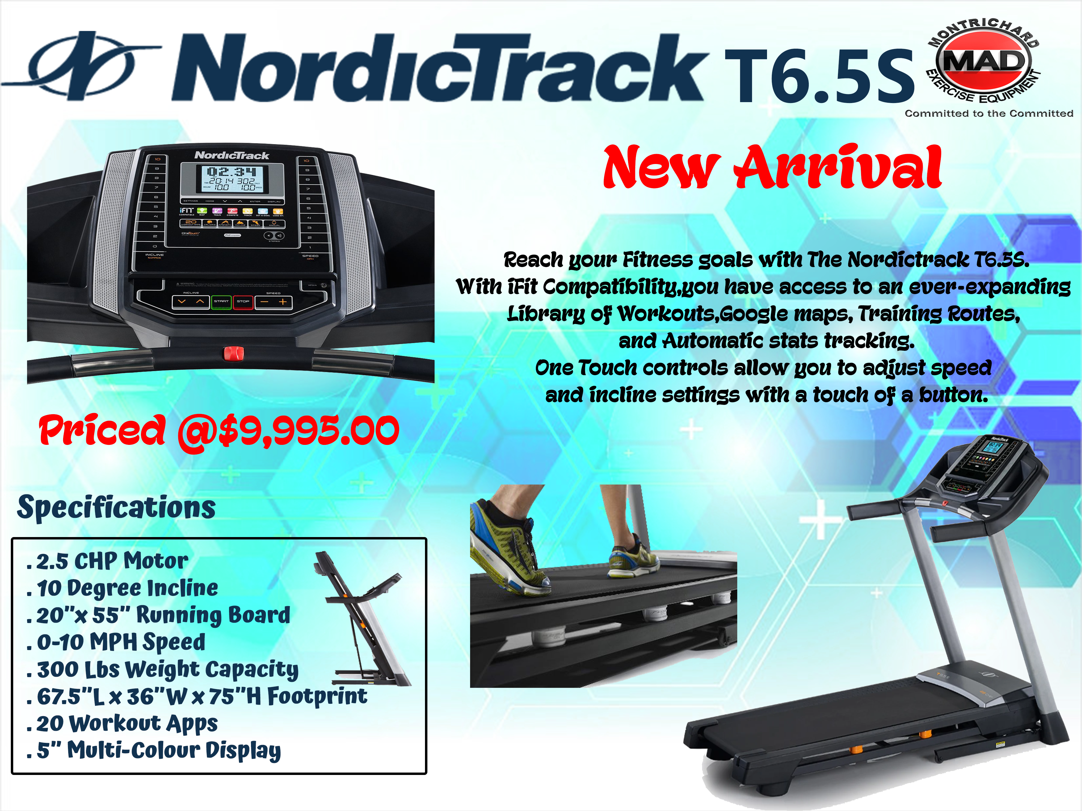 Nordictrack T6