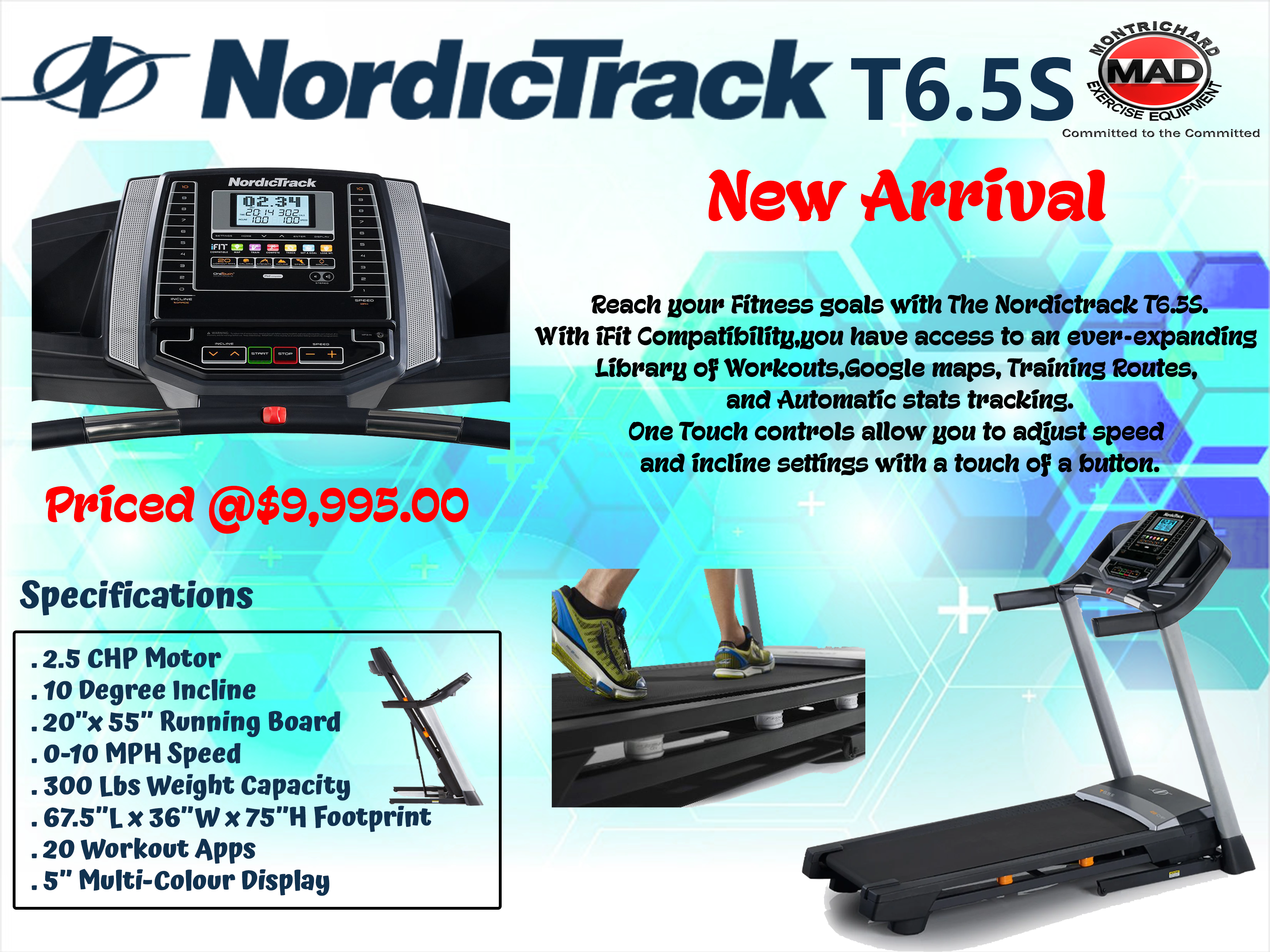 copy23_Nordictrack T6
